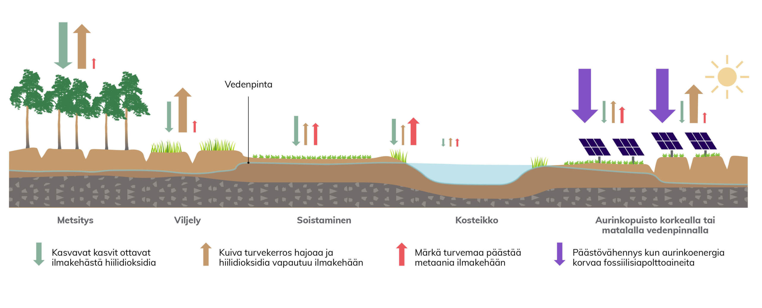 Infograafi, joka kuvaa miten ja millaisia päästöjä syntyy jatkokäyttömuodoista metsitys, viljely, soistaminen, kosteikko ja aurinkopuisto.